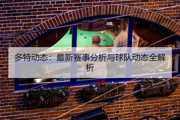 多特动态：最新赛事分析与球队动态全解析